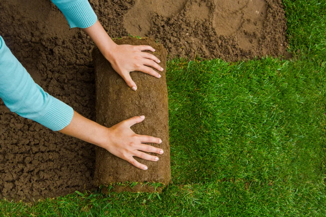 Premium synthetic turf installation in North Texas — pet-friendly and drought-proof